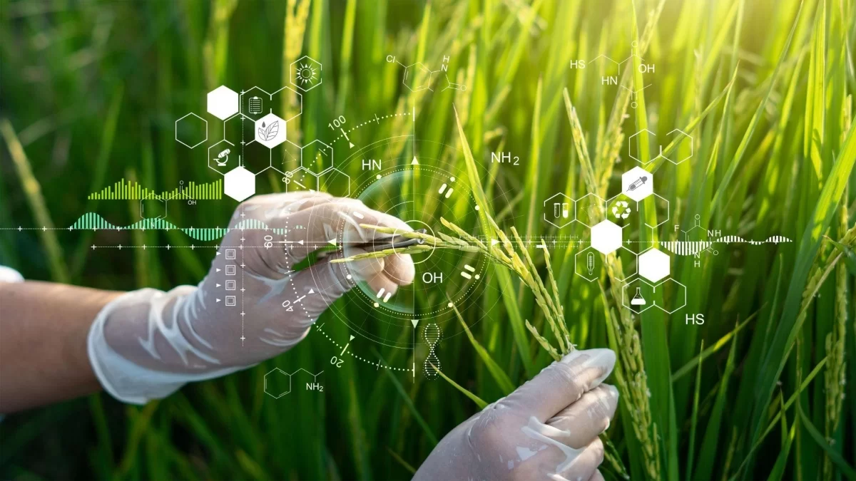 Melhoramento Genético: O que é e o que esperar dele - Agroinovadores